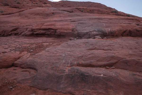 Brian's Trail