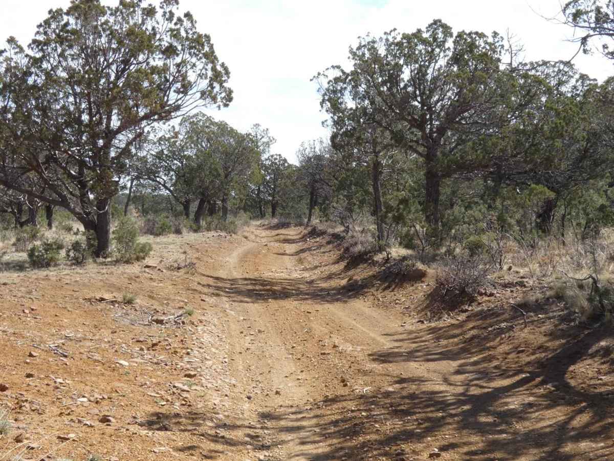 GRT/FS201: Guadalupe Rim Trail photo 2
