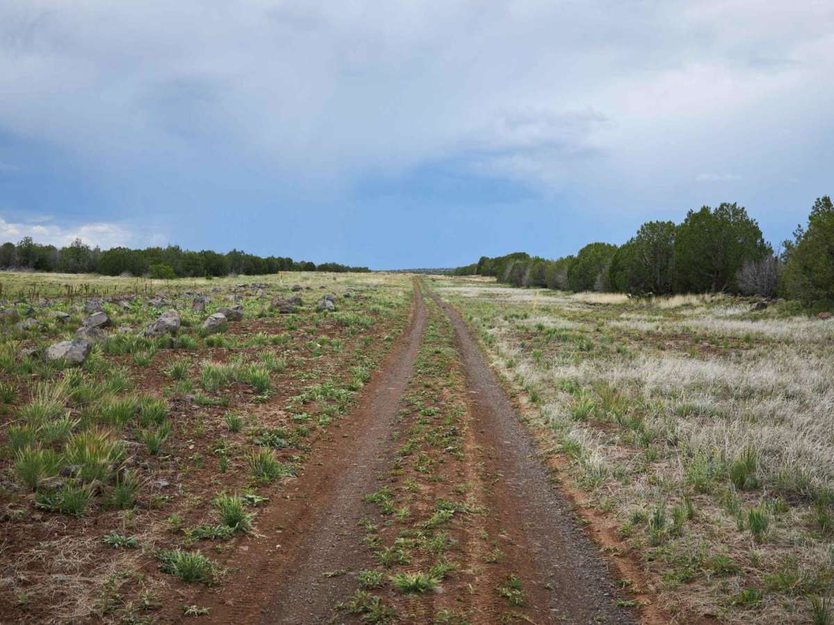 Pipeline Road 796 photo 2