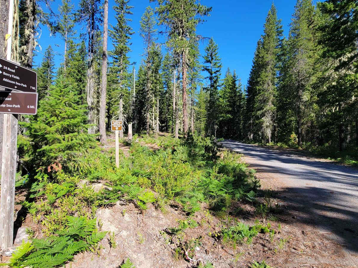 FR 24 - Berryfields trail photo