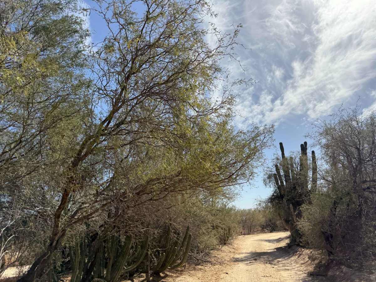 Rancho del Camino photo 5
