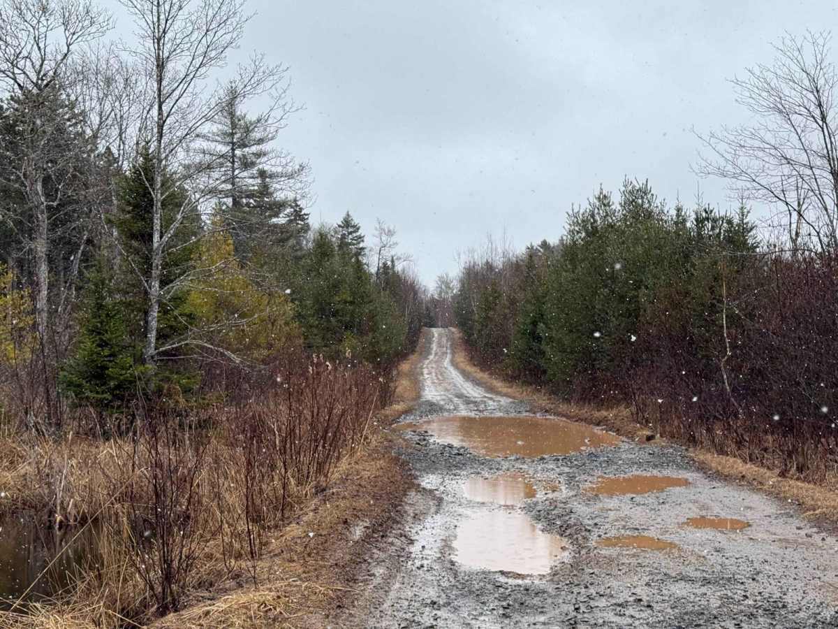 Renfrew Road photo 2
