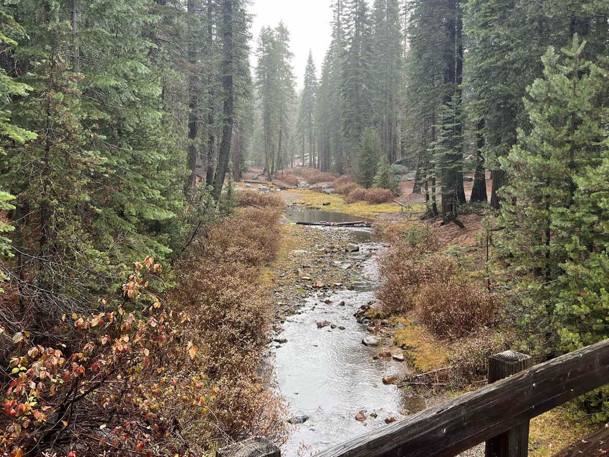Trout Creek trail photo