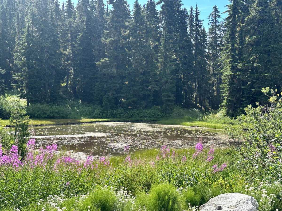 Rainy Creek Trail photo 5