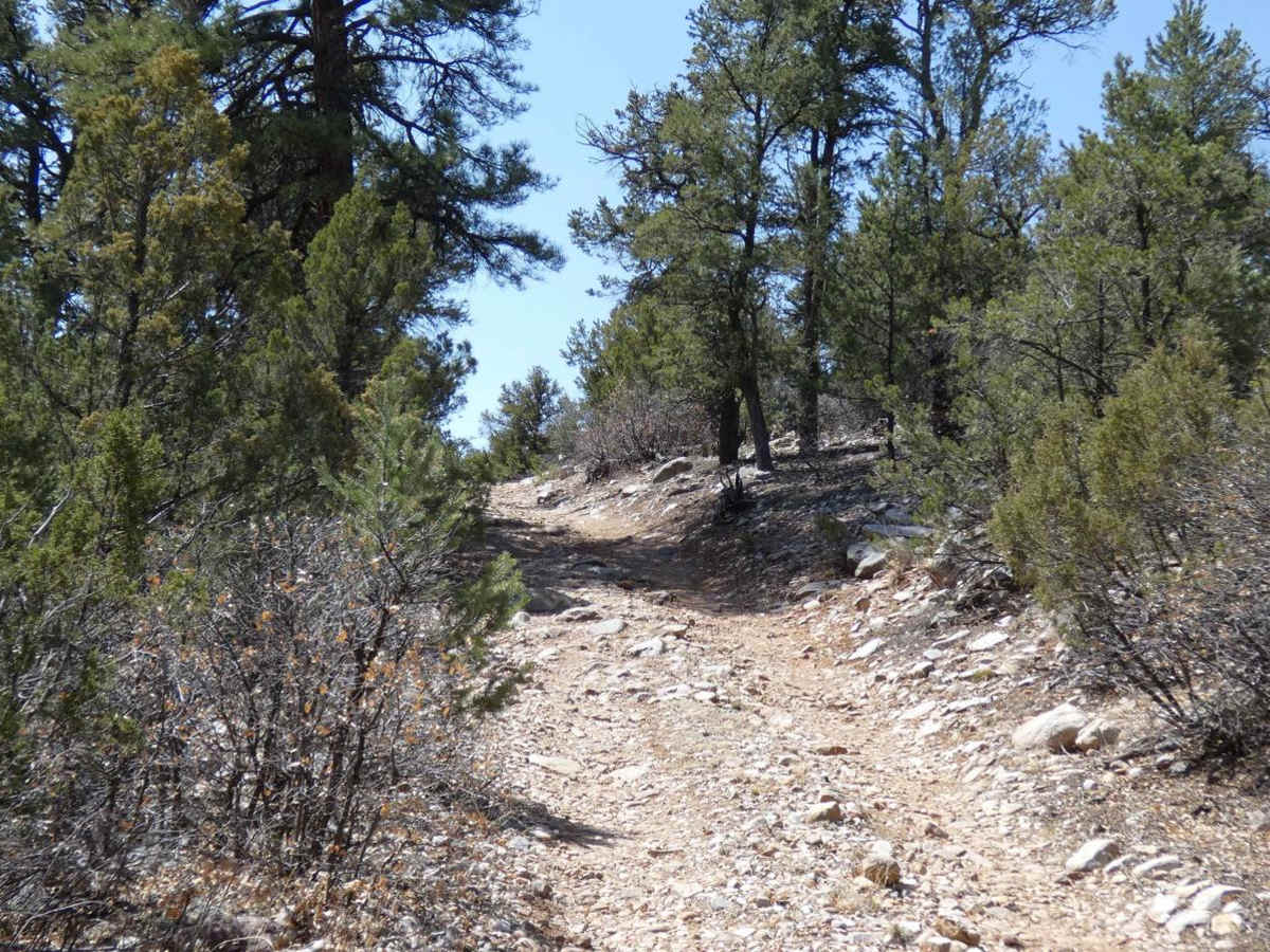 Vistas Overlook photo 4