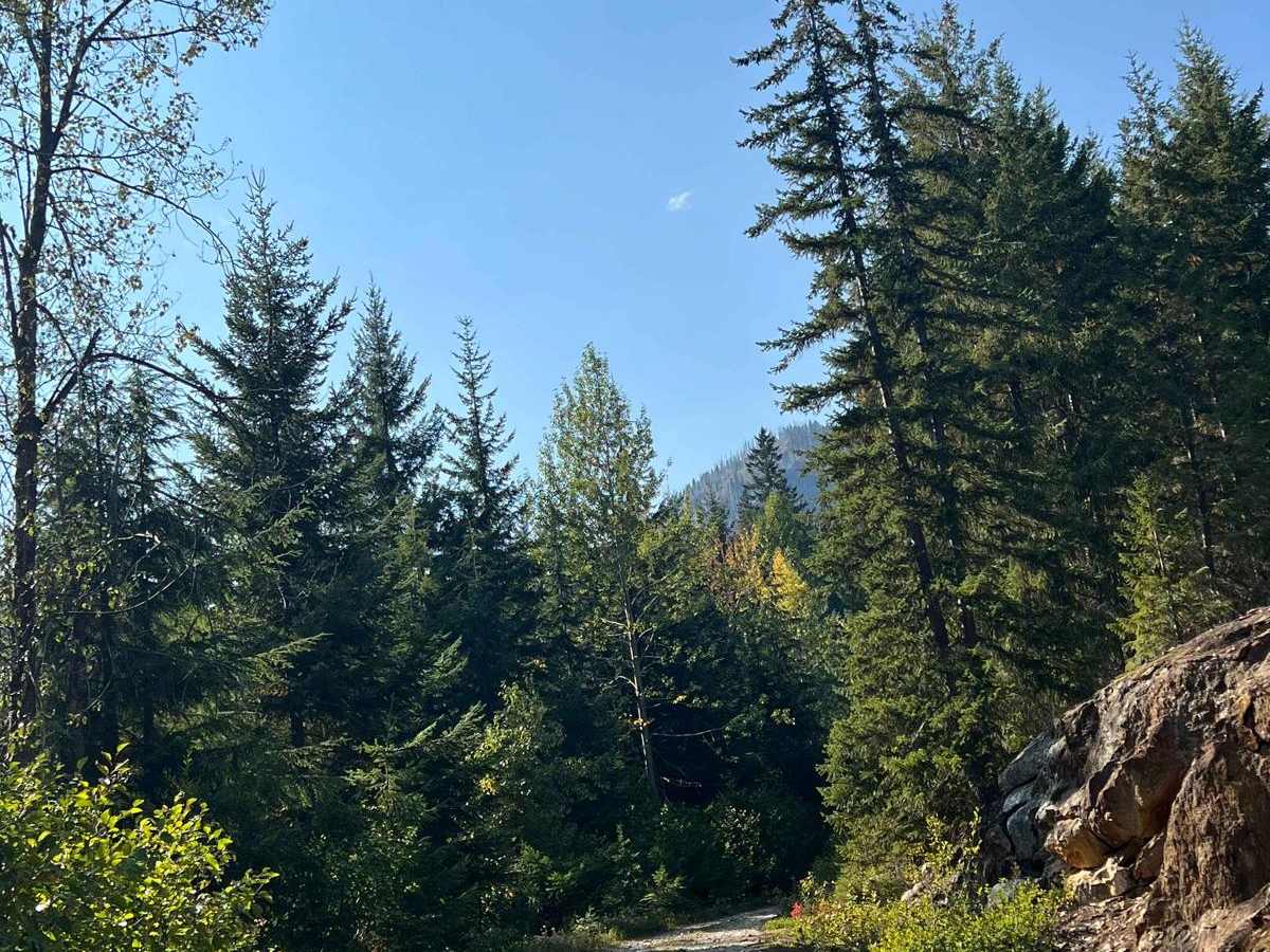 Labyrinth Mountain photo 5