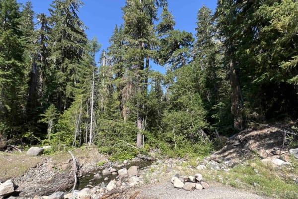 Fisher Point 1164