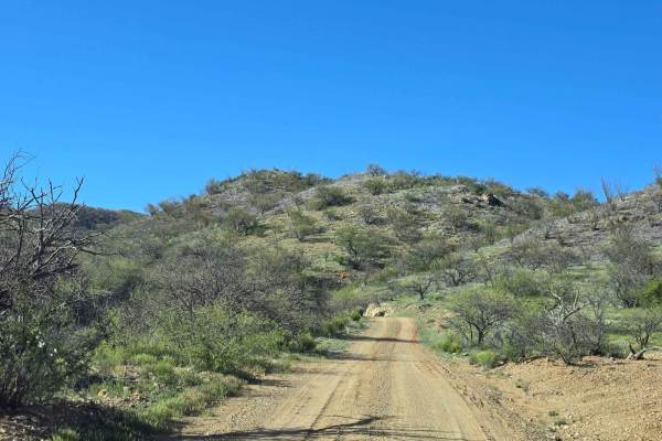 California Gulch Forest Road 217
