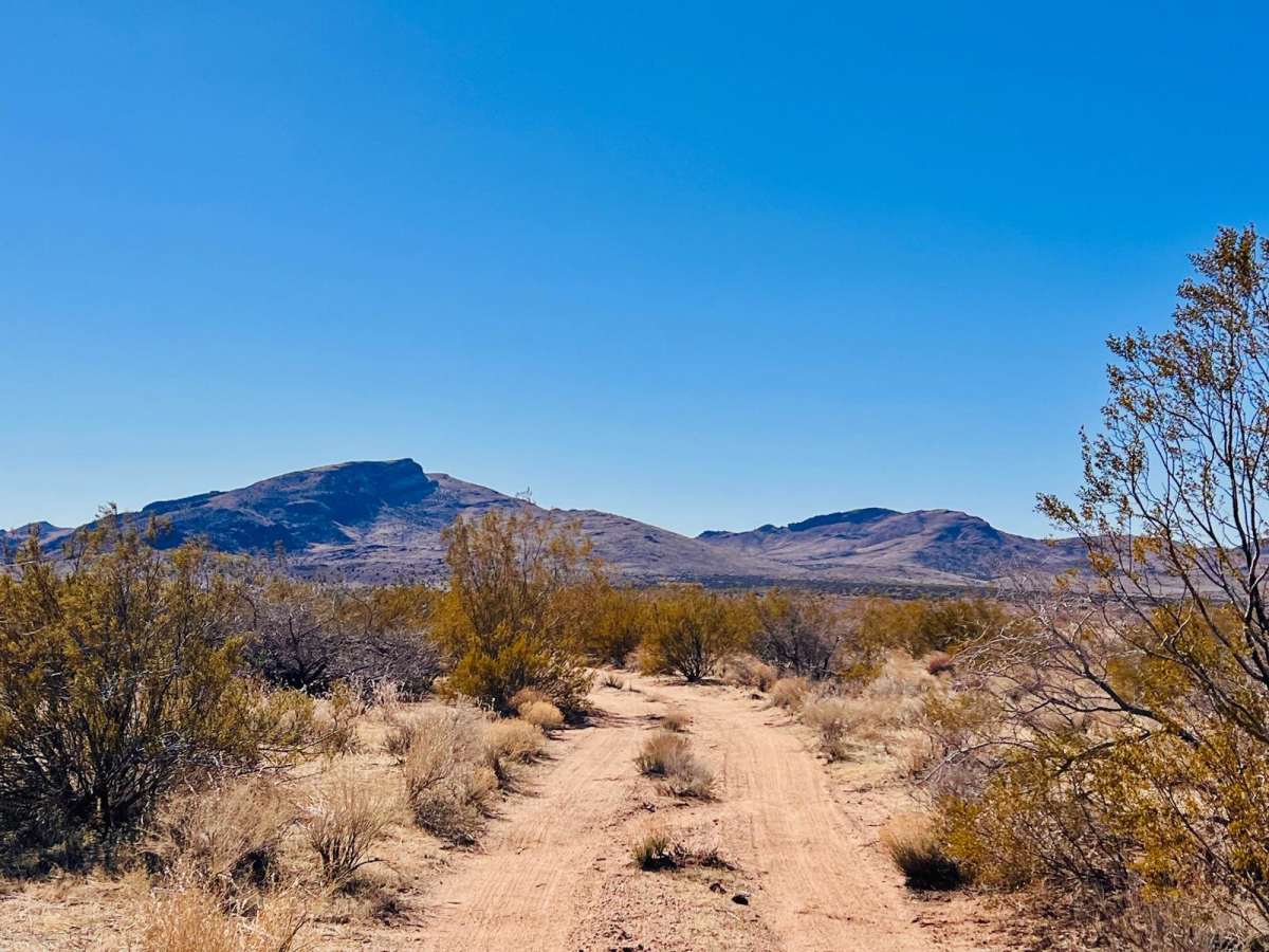 Sacramento Wash Trail trail photo