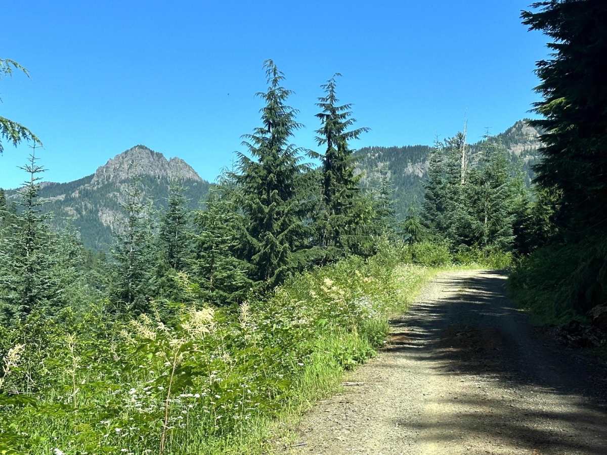 Smith Creek Road photo 6