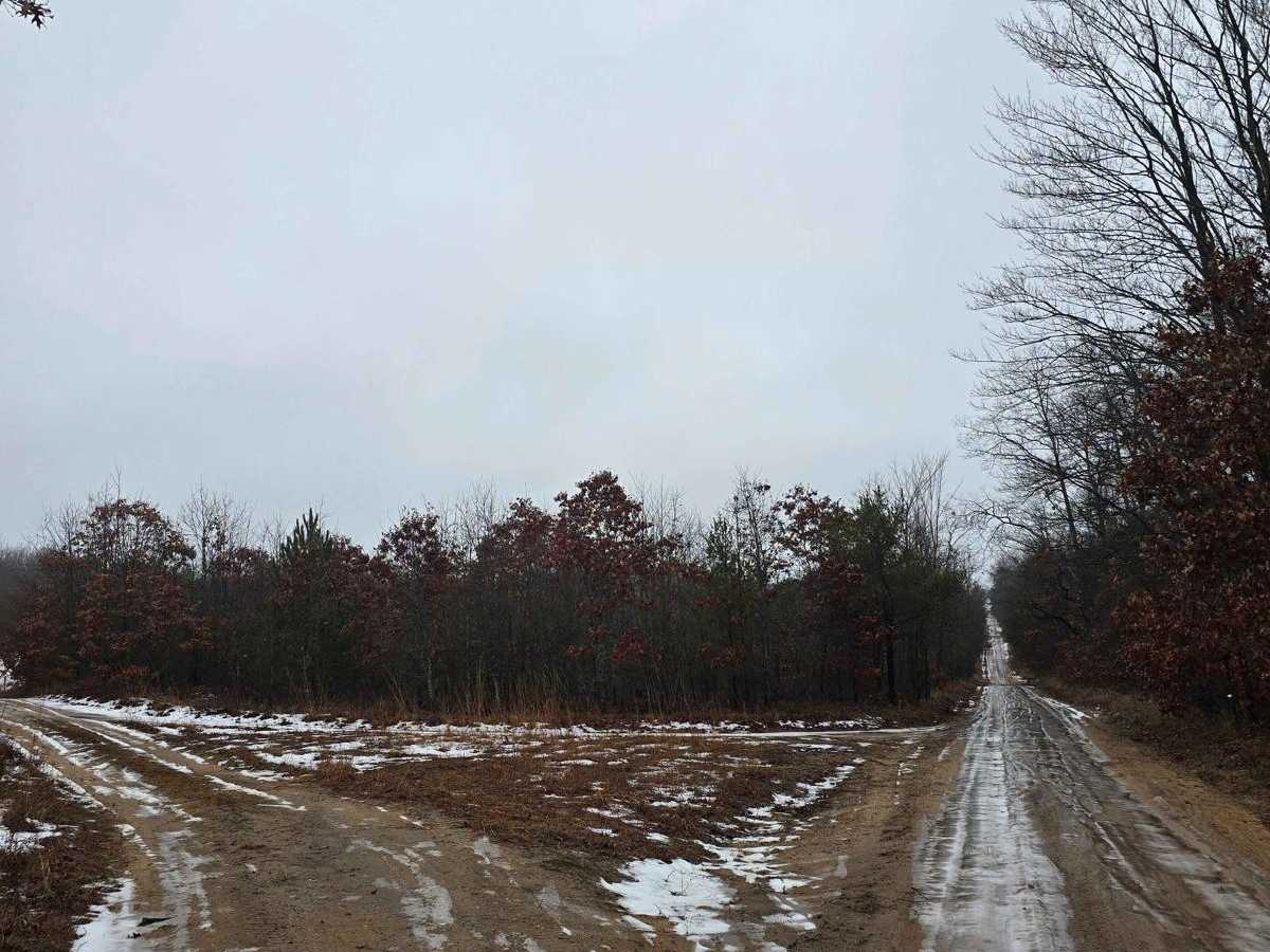 East Oyster Road photo 4