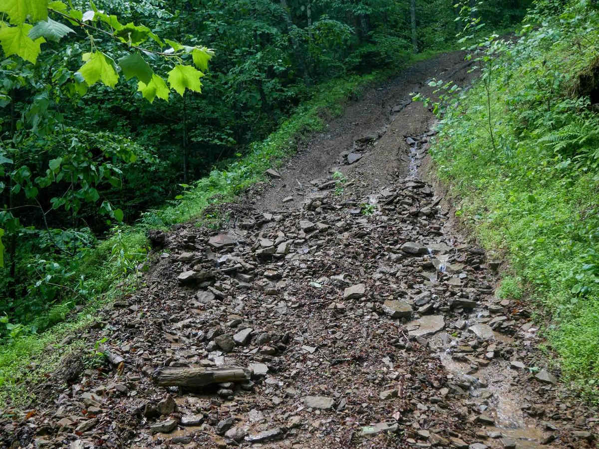 CC99 trail photo