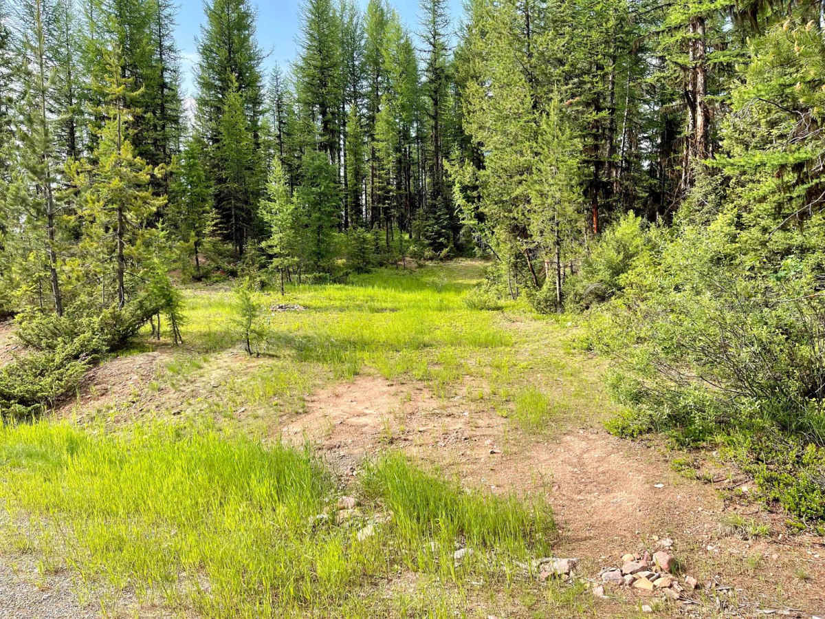 Richmond Ridge photo 5