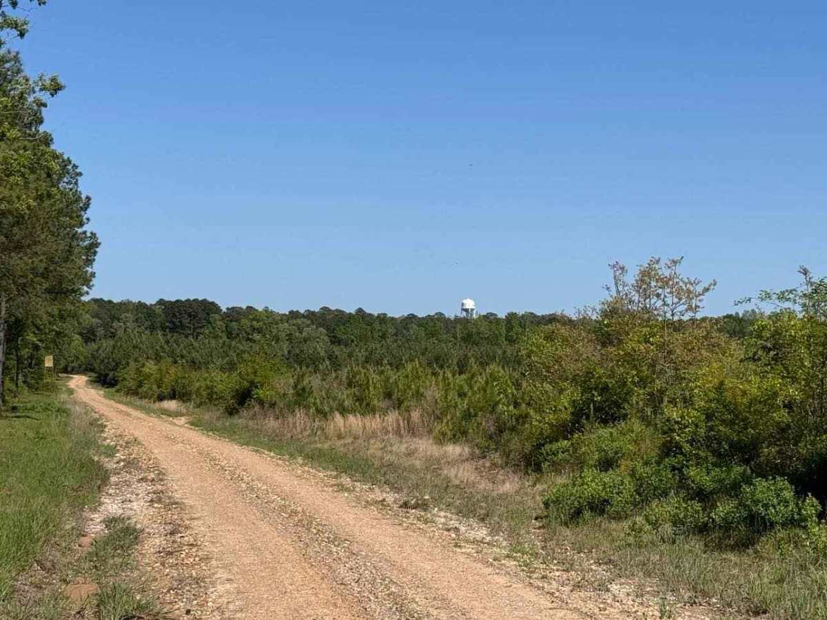 Fox Camp Road photo 5