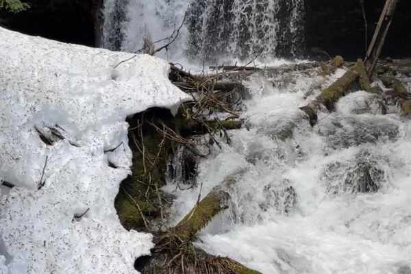 Fern Falls
