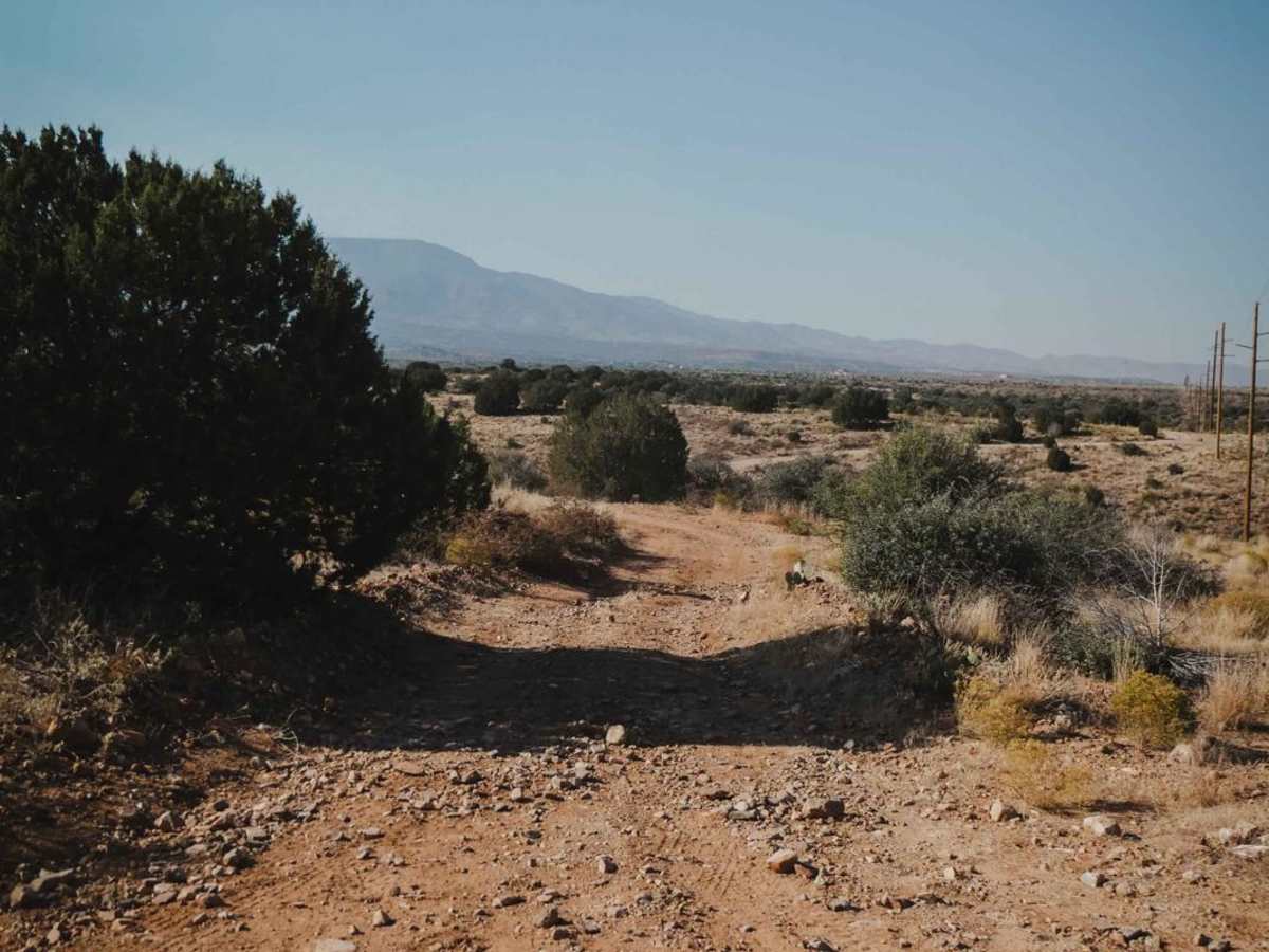 Cottonwood Loop #509 photo 4