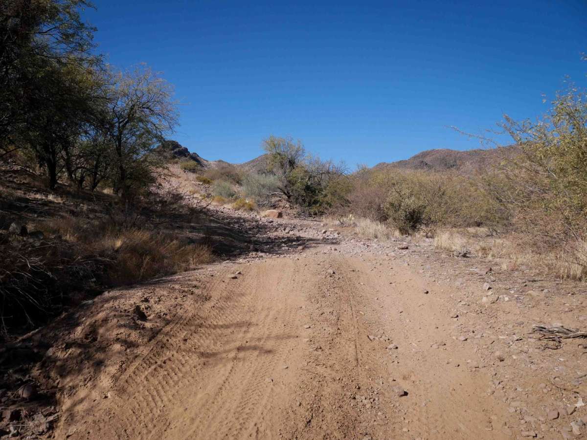 Big Reef Mill Singletrack photo 6