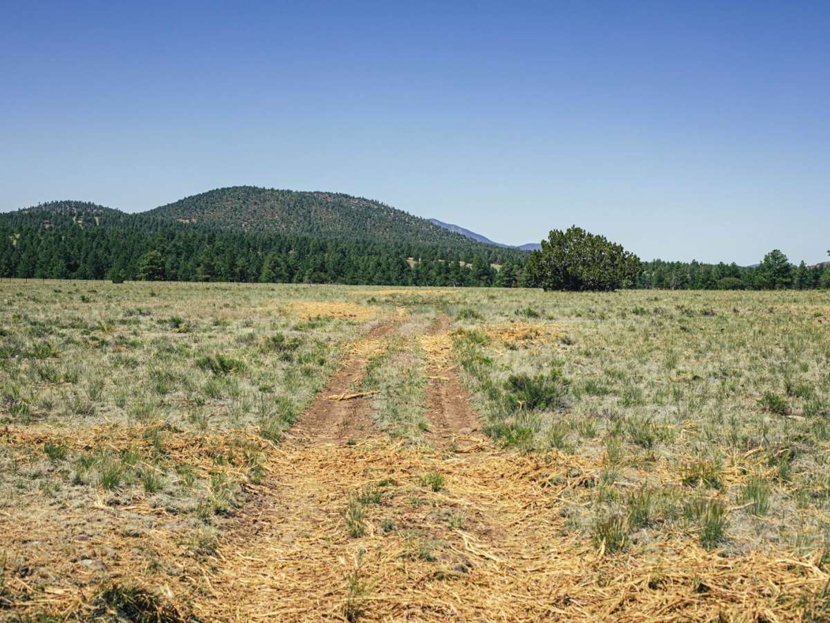 Hunters Meadow photo 2