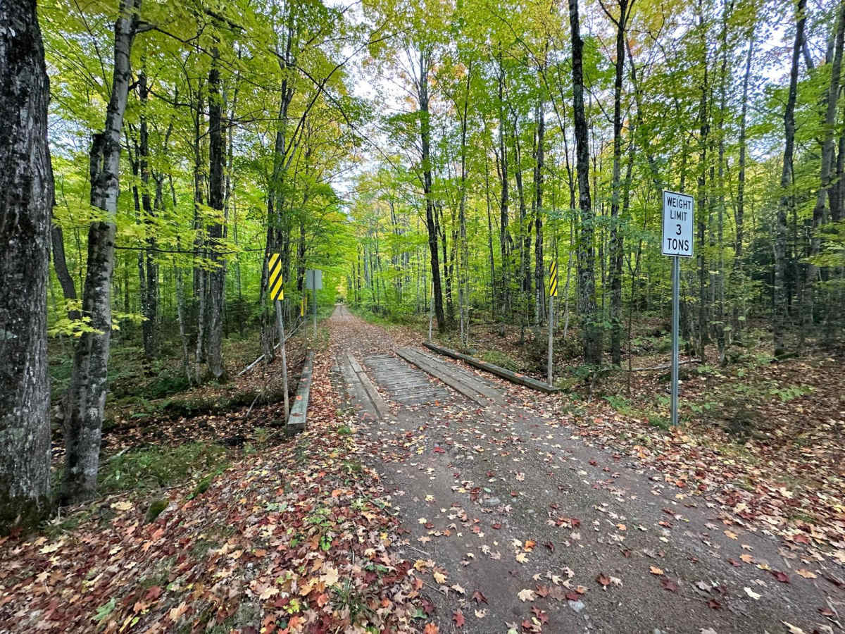 Old Camp Four Trail trail photo