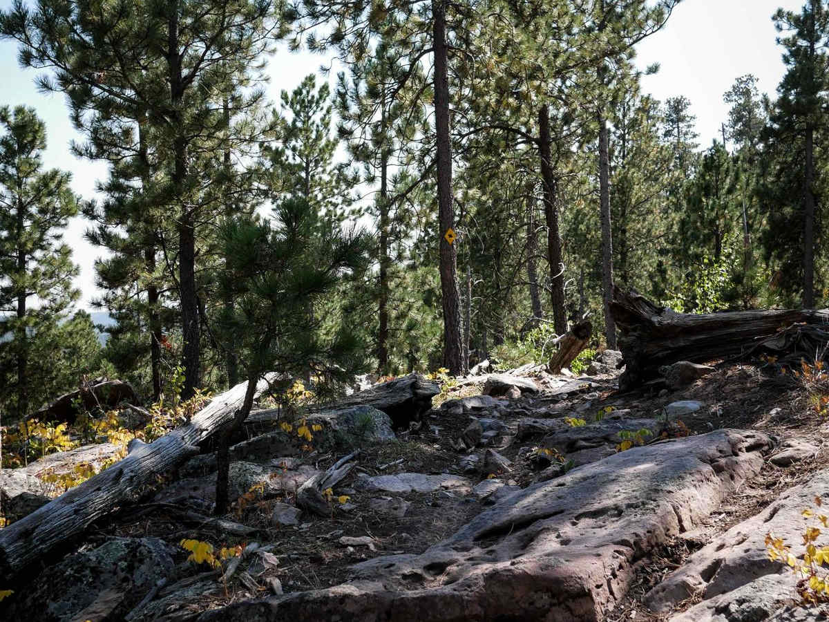 Bogus 6321 trail photo