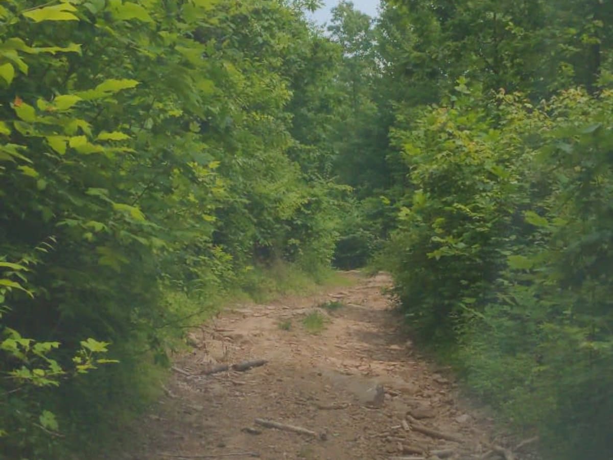 Senneth Cemetery Rd photo 3