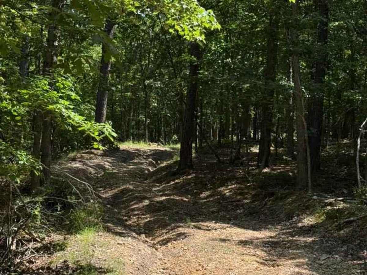 Blake's Trail photo 3