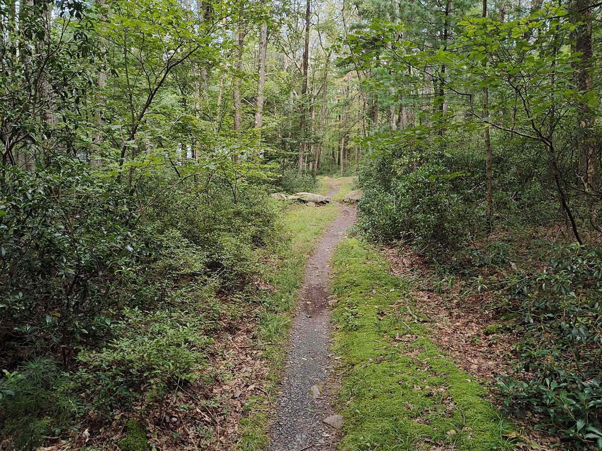 Countyline Single Track photo 5
