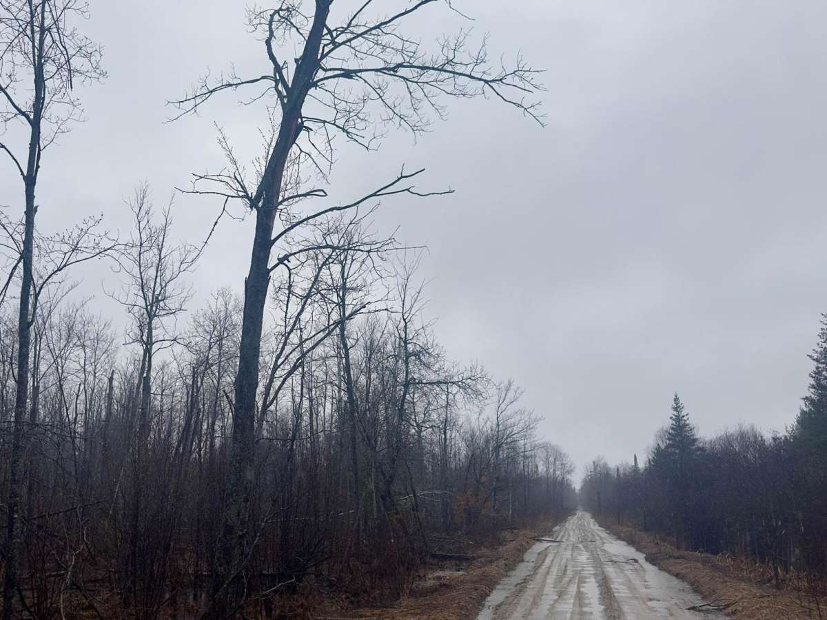 Cedar Creek Rd photo 2