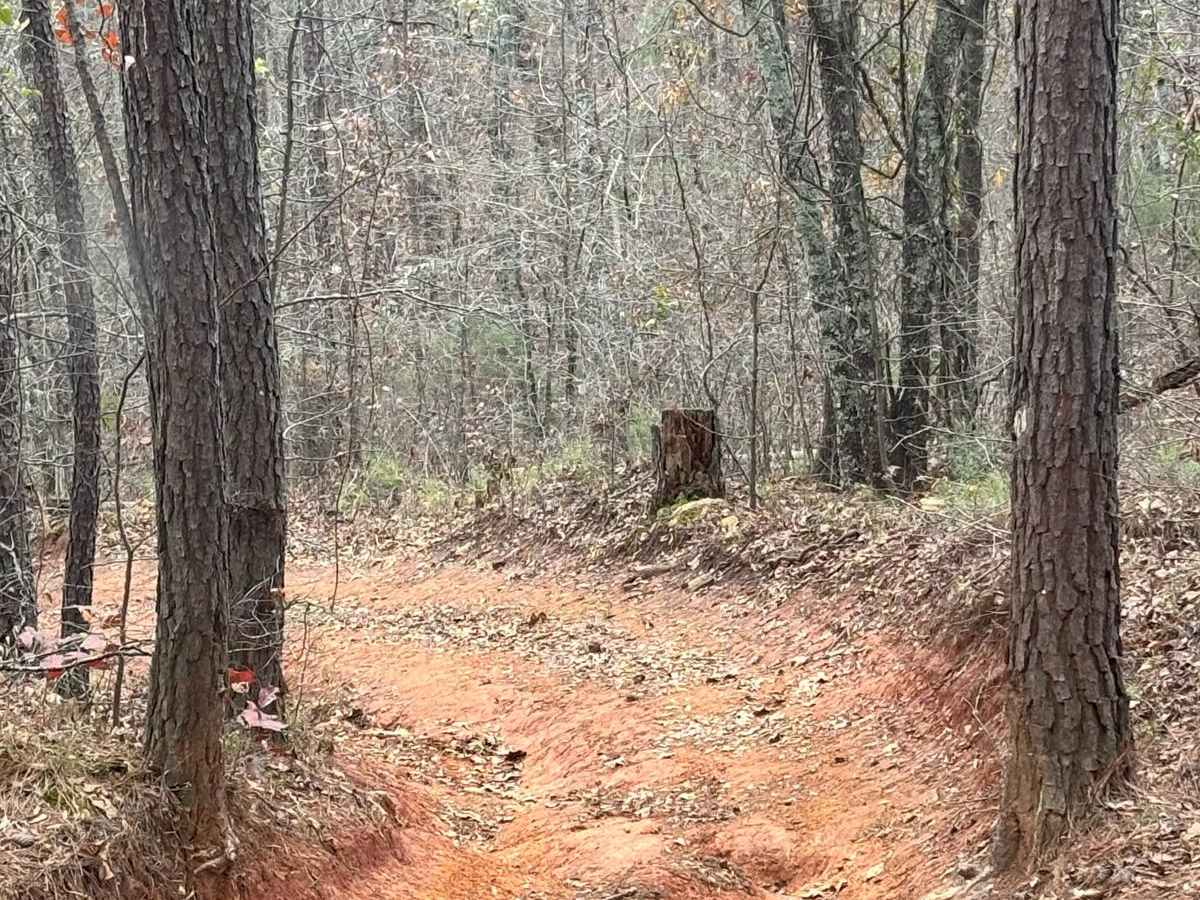 Magnolia Trail photo 2