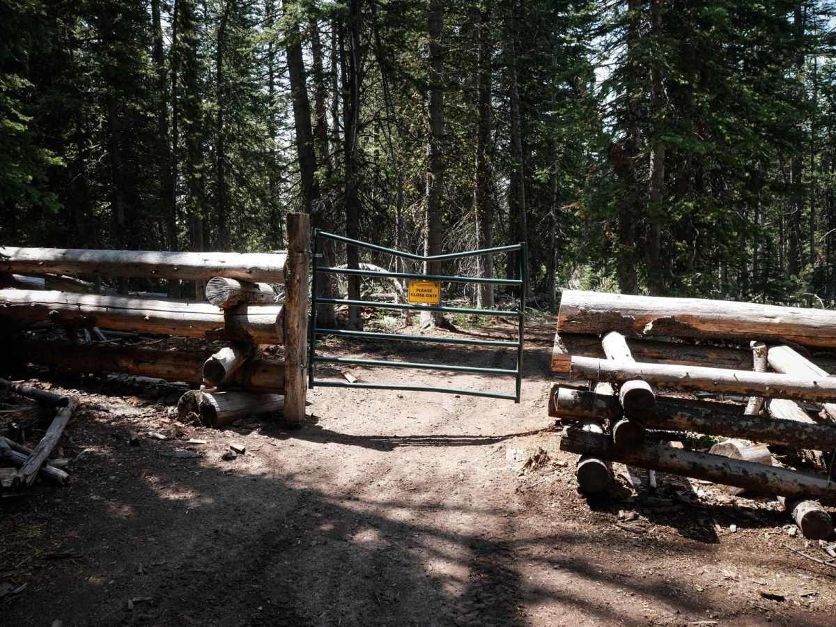 Beef Pasture ATV photo 3