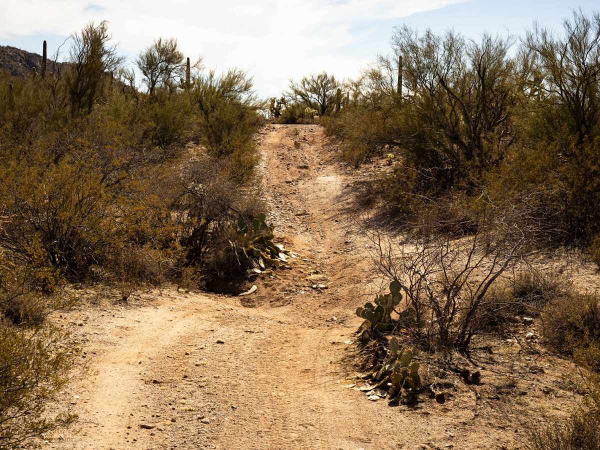 Ditch Trail photo 6