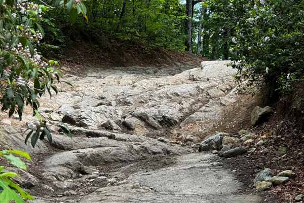 Brown Mountain Trail 1
