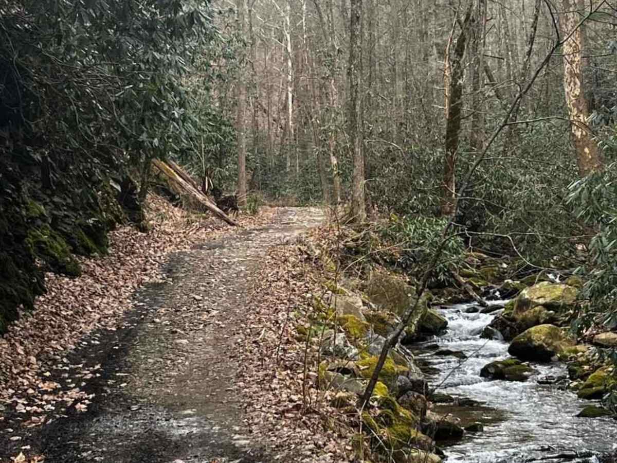 Horse Creek photo 5