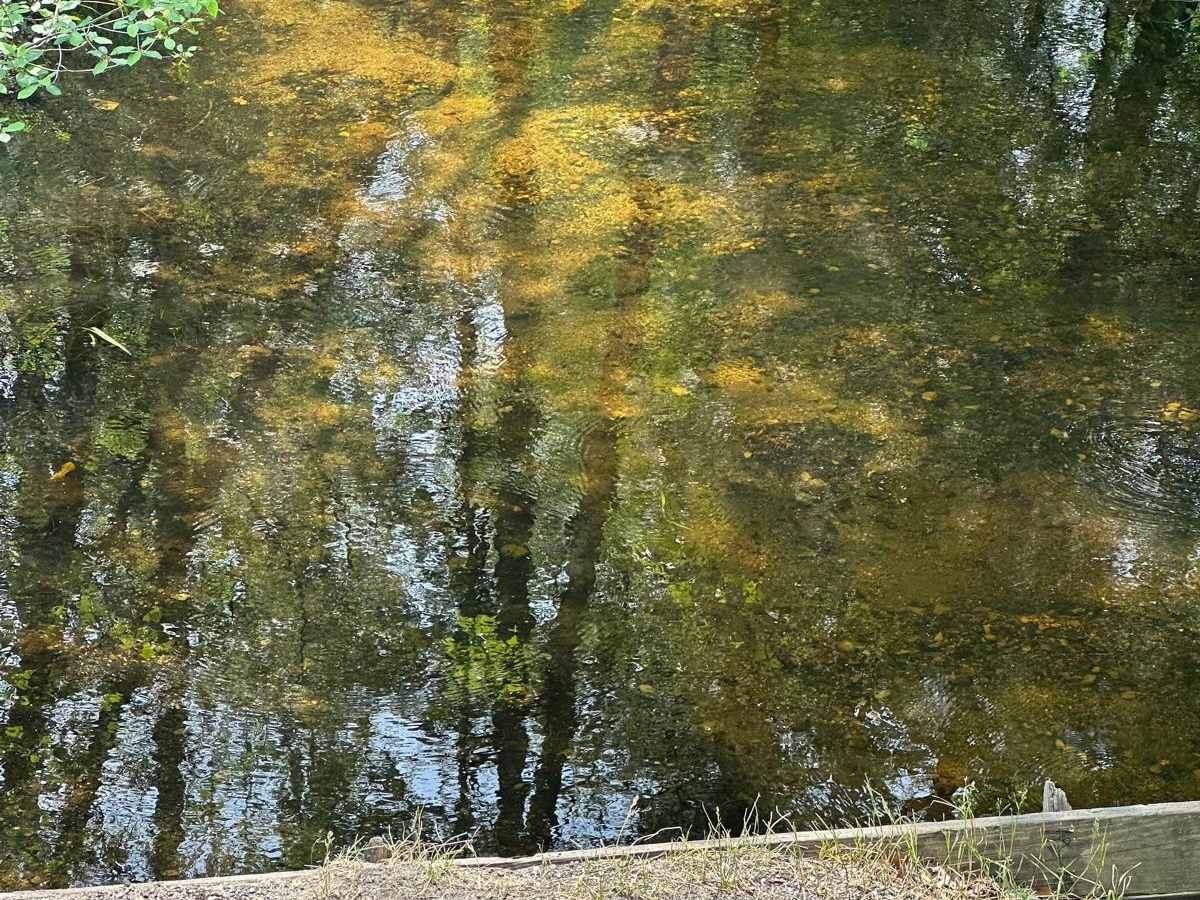 Rail Trail Part 2 photo 5