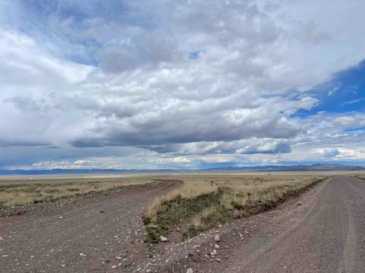 The Array Loop photo 2