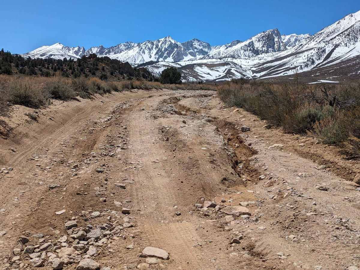 Upper Buttermilk  Road trail photo