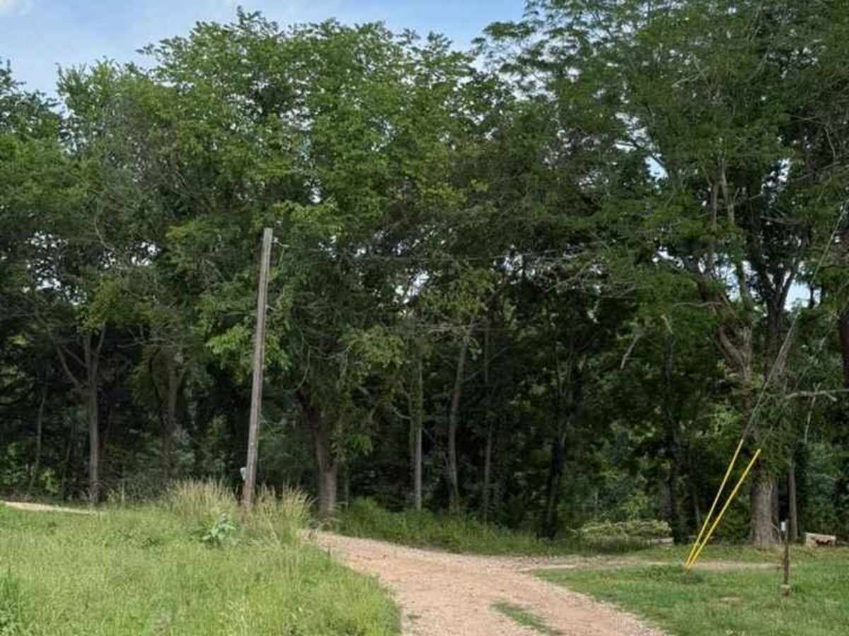 Brandon's Trail trail photo