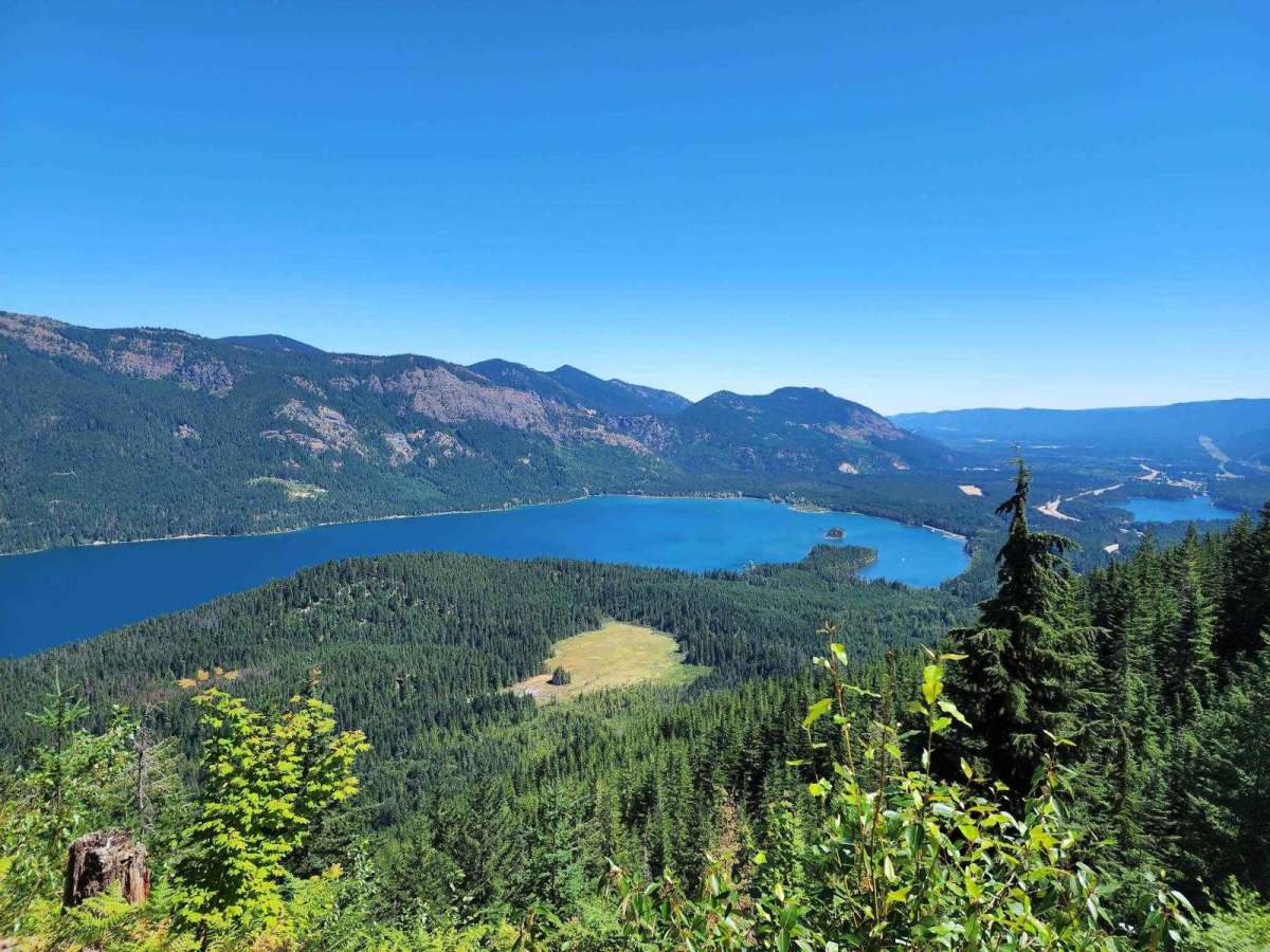 Amabilis Mountain (from the SE side) trail photo