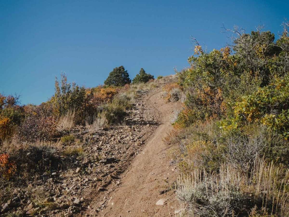 BLM Route 8322 photo 2