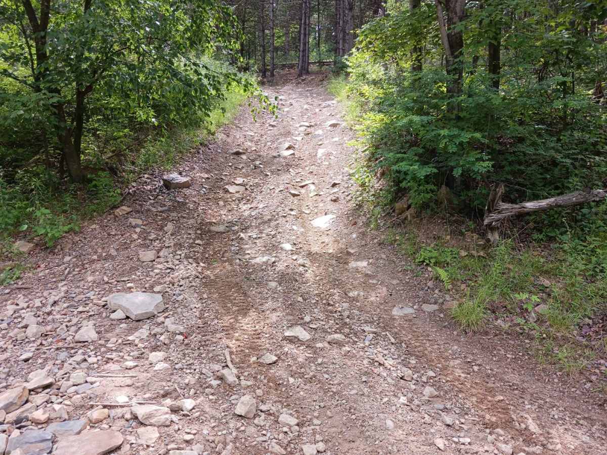 Trail 11F - Rock Run Recreation Area photo 3