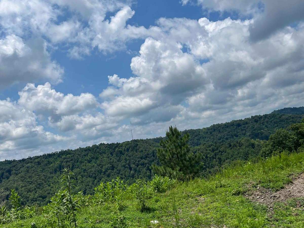 Trail 12 photo 3