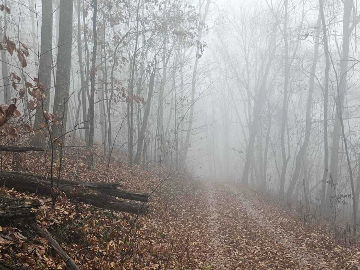 Chestnut Mountain (212A) photo 4