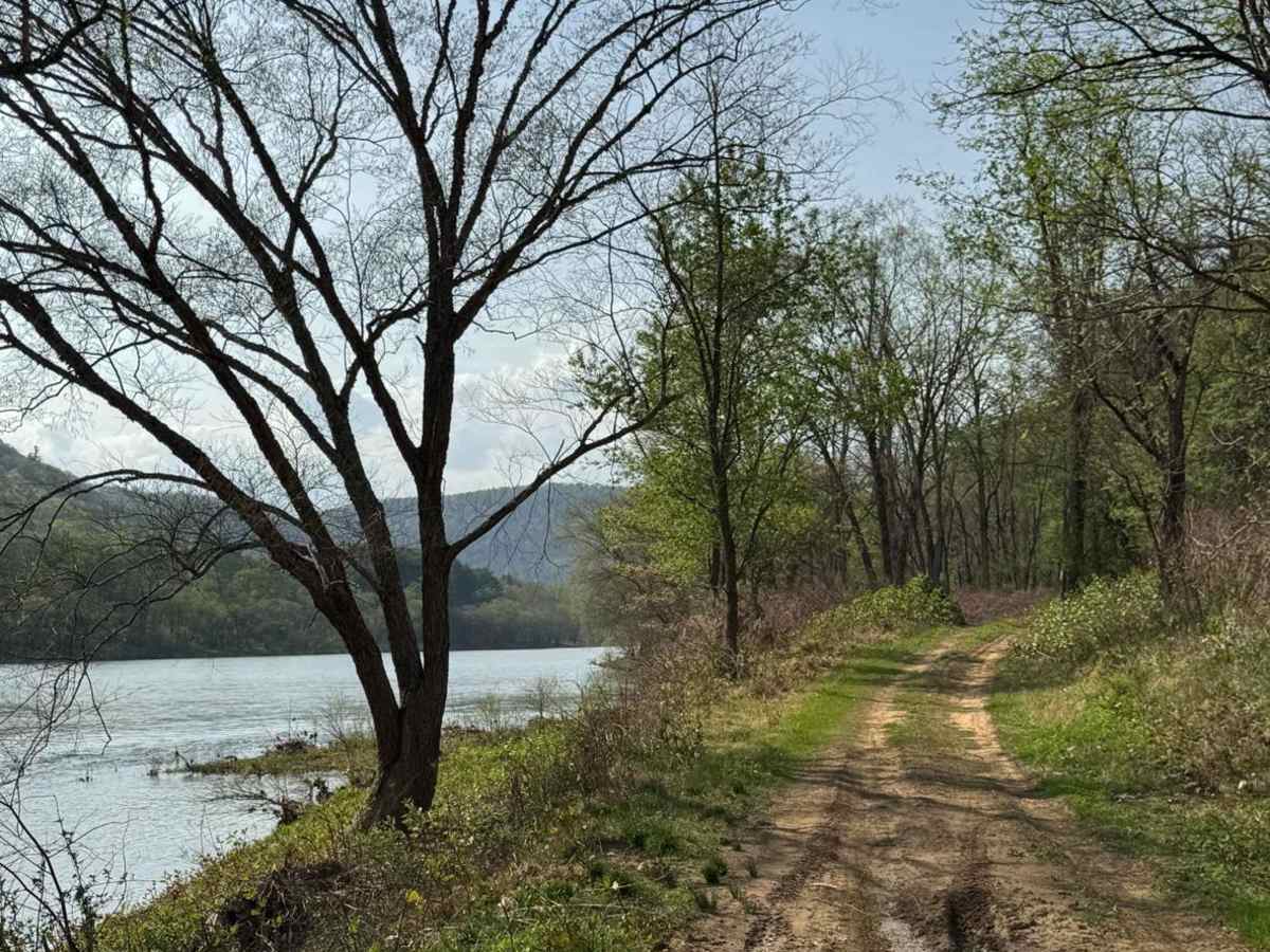 Hyner River Road photo 6
