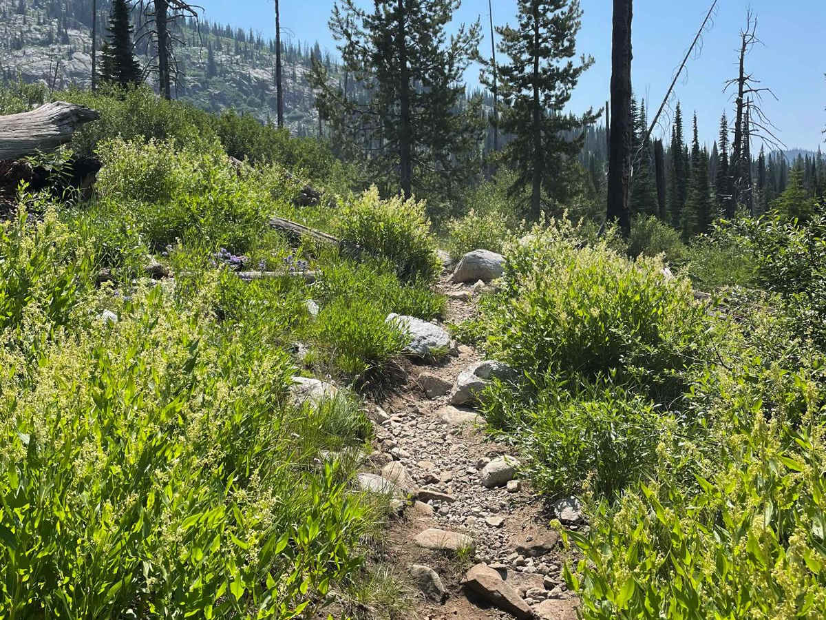 Hard Creek Basin photo 6