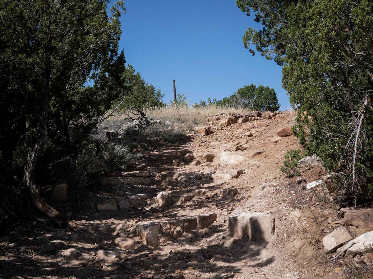6102A trail photo