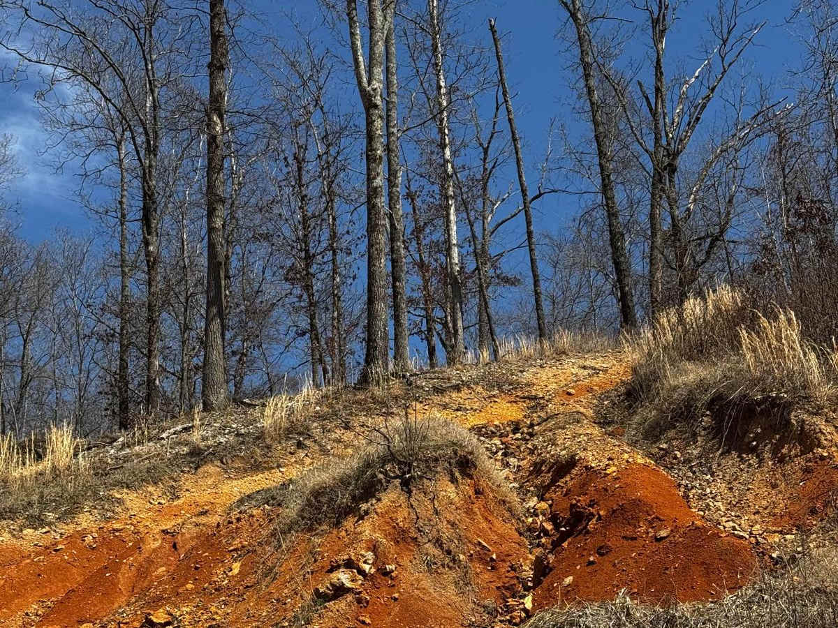 Commitment Hill Climb 6 photo 3
