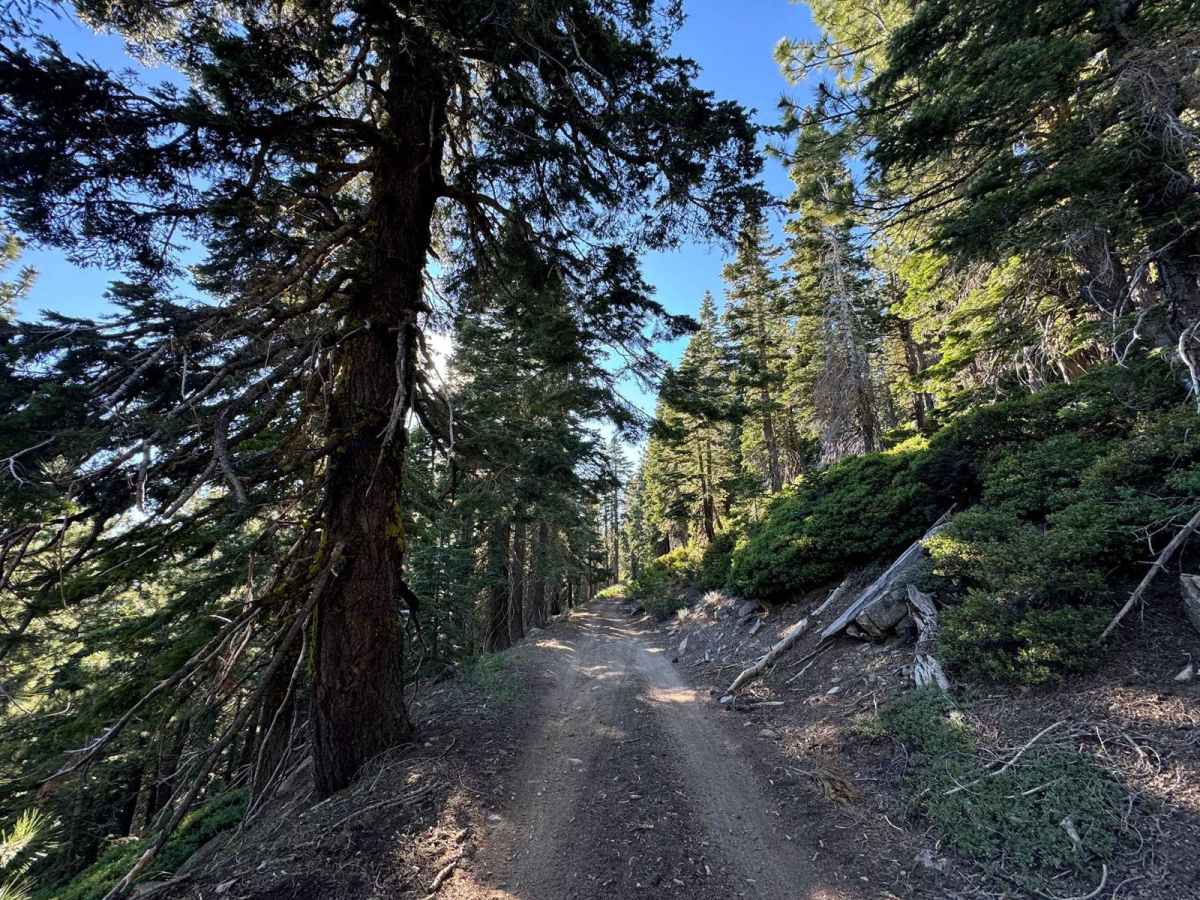Summit Lake trail photo