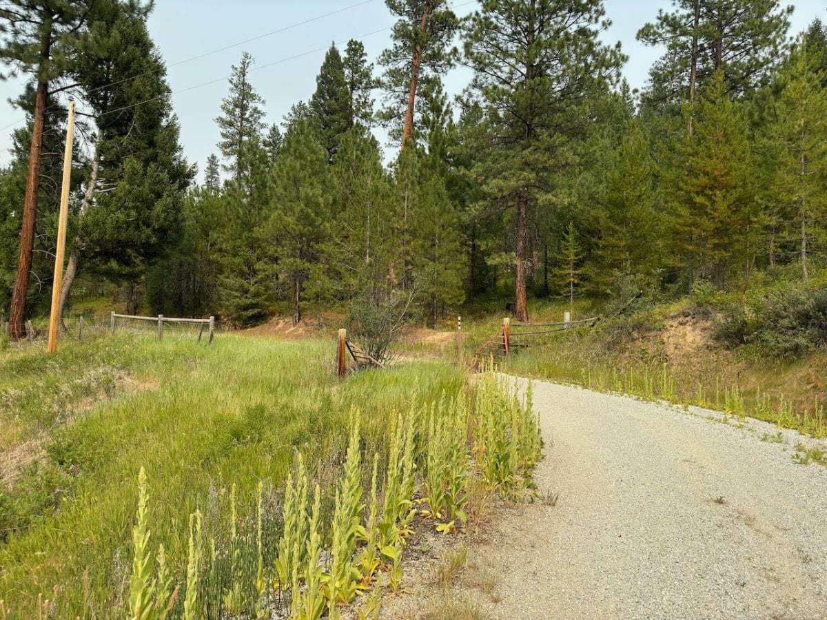 Highway Connection 106A trail photo