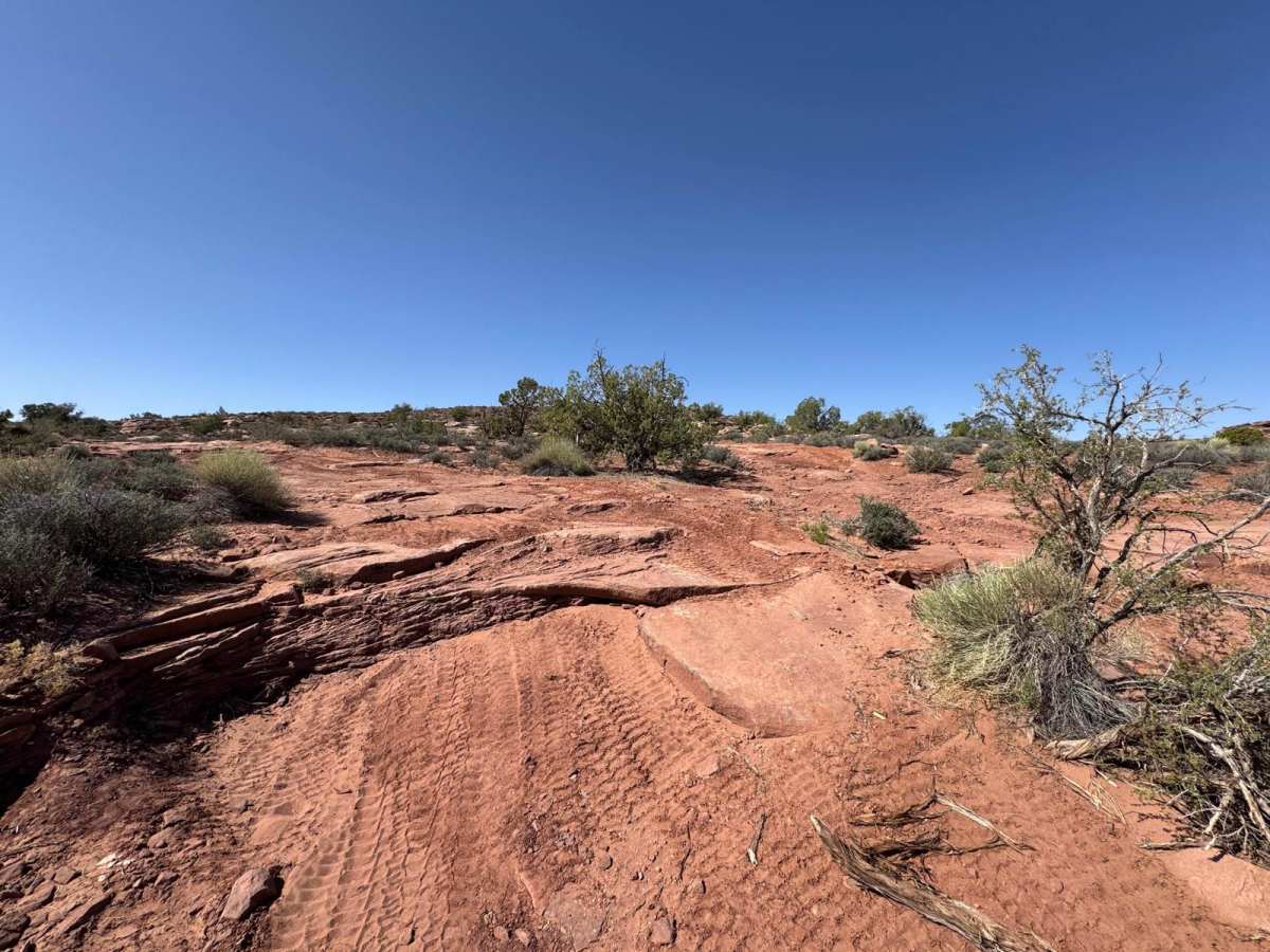 Little Canyon Trail photo 3