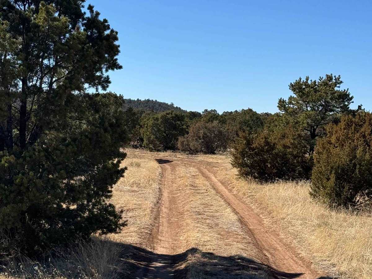 Glorieta Mesa photo 3